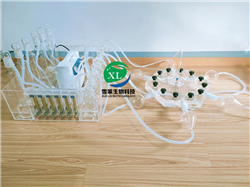 六臂昆蟲(chóng)嗅覺(jué)儀XLM6-150